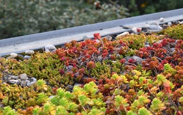 the cost of Trevorrick green roof installation